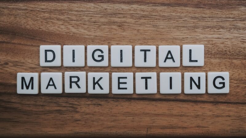 SEO Traffic Organik Indonesia: Cara Membangunnya dari Nol Sampai Jadi Aset Bisnis